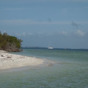 DSC04299