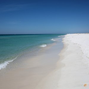 DSC04401