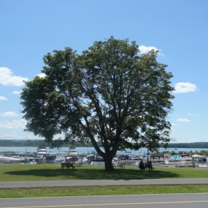 DSC04461