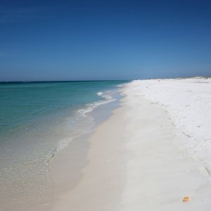 DSC04406