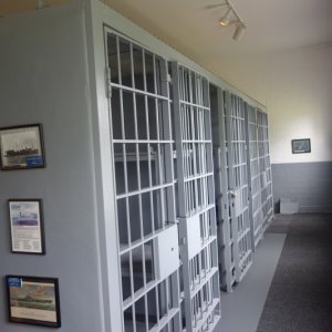 Brig cells