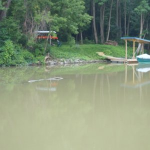 DSC04830