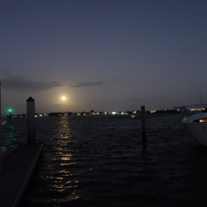 DSC05011