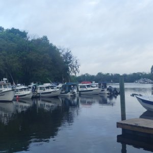 P1010974