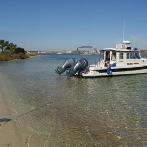 DSC05403