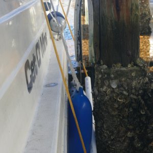 P1030159