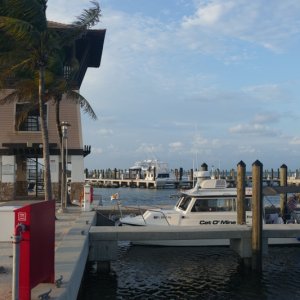 P1030271