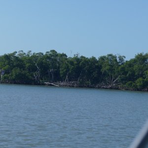 P1030315