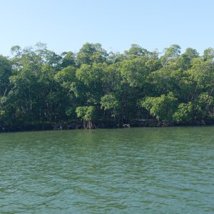 P1030316