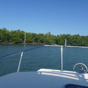 P1030317