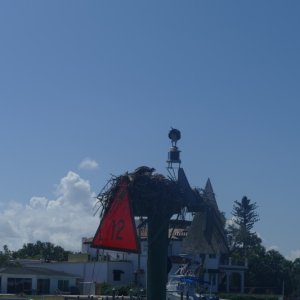 P1030341
