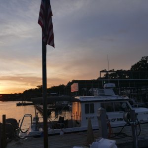 P1030352
