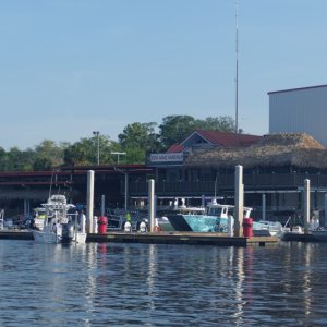 P1030358