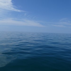 P1030361