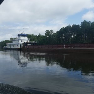 P1030367