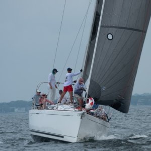 regatta6