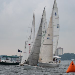 regatta7