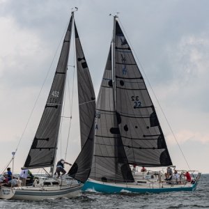 regatta10