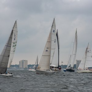 regattta7