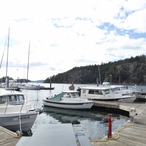 The Stuart Island after-party at Deer Harbor