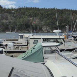 Five C-Brats at Deer Harbor Sunday afternoon
