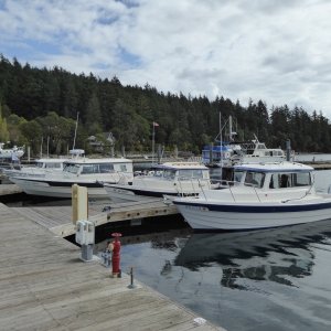 Deer Harbor C-Brat Get Together Sunday afternoon