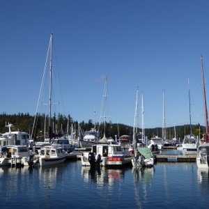 C-Brat lineup at Deer Harbor