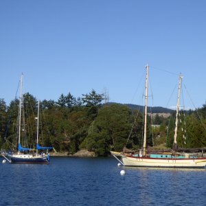 Sailboats in Deer Harbor
