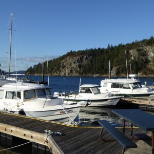 Monday morning on the dock