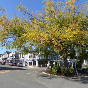 Media 'Fall in Friday Harbor' in album 'Arriving Deer Harbor Sunday morning'