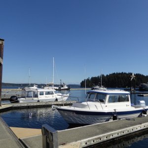 Media 'Back to the dock with my lunch and Catman is there now too!' in album 'Arriving Deer Harbor Sunday morning'