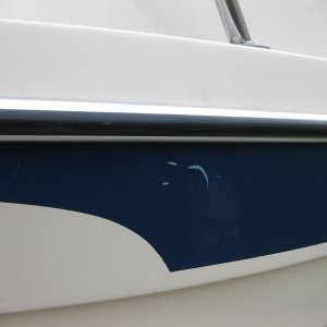 Sneaks16FishFlaws-04