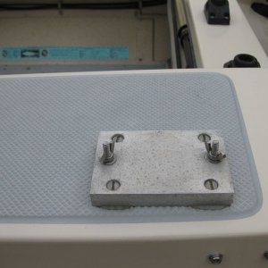 Sneaks16FishFlaws-08