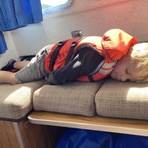 Media 'tired boy' in album 'tired boy'