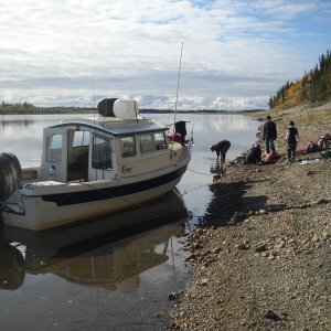 Media 'Hunting on Kobuk River. Onion Portage area...' in album 'Hunting on Kobuk River. Onion Portage area...'