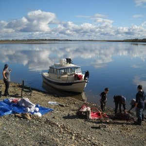 Media 'Beautiful day on the Kobuk River!' in album 'Hunting on Kobuk River. Onion Portage area...'