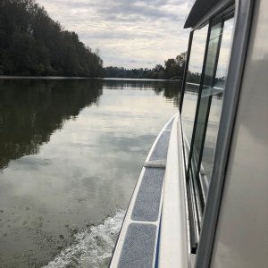 Those fish are around here somewhere!