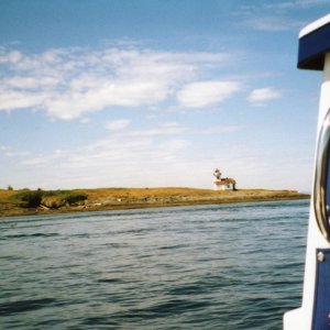 23 May 2004
Patos Island Lighthouse