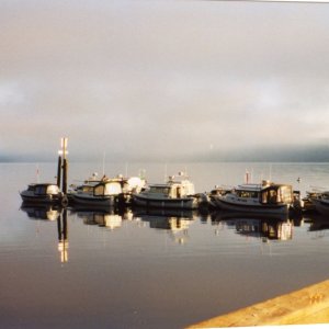 3 Oct 2004 Sequim  
C-Dorys before the fog
rolled in