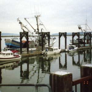 6 Nov 2004 
   Docked at Everett 
 ANNA LEIGH, ANITA MARIE 
       & R-MATEY