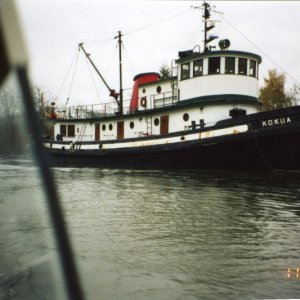 Media '6 Nov 2004:  During the Snohomish River Run we saw the Kokua, a tugboat once owned by Sause Bros. of Coos Bay.  Joe worked on this boat in the 1970s.' in album '4 Feb 2004 
On the way to Anacortes'