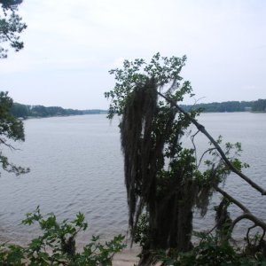 A view south into Linkhorn Bay.