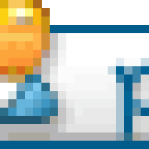 icon pm