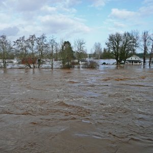 flood