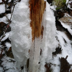 The top of an ice flower