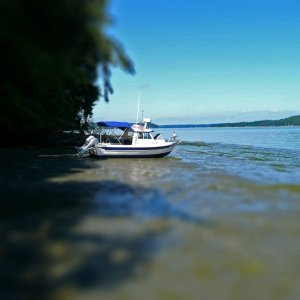 1 tiltshift