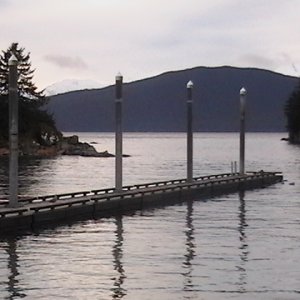 Busy day at Amalga Harbor
