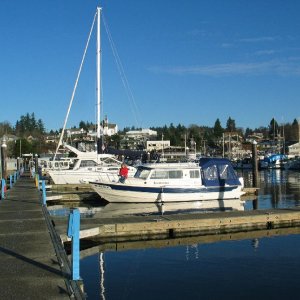 Media 'Poulsbo Marina' in album 'Poulsbo Marina'
