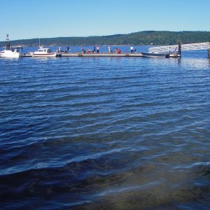 SBSP dock at near high tide.  Frequent weekend visitors.