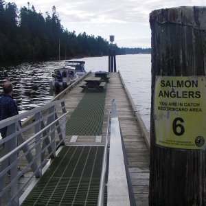 High tide shoreline could be deceiving, but staying close to the dock will keep docking easy.